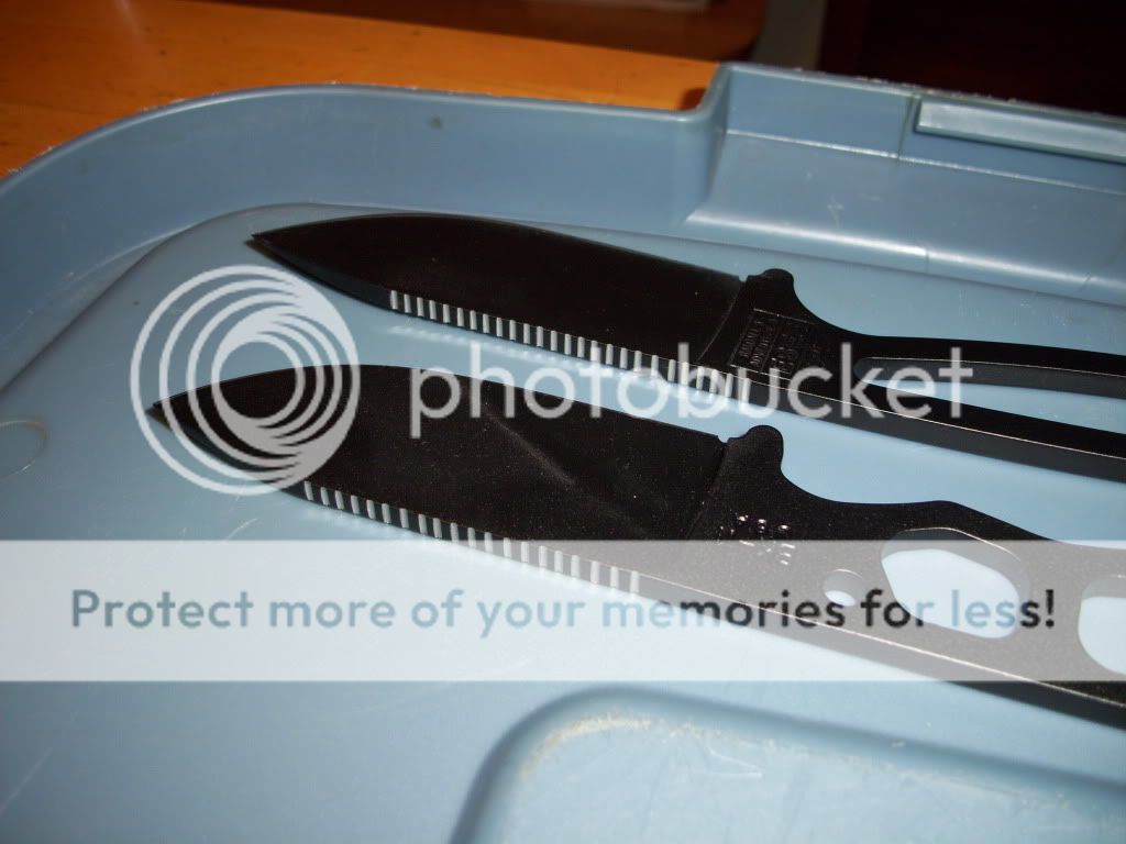 100_1159.jpg