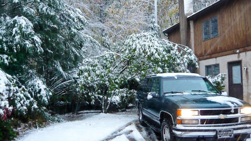 Snow_Oct29-2011.jpg