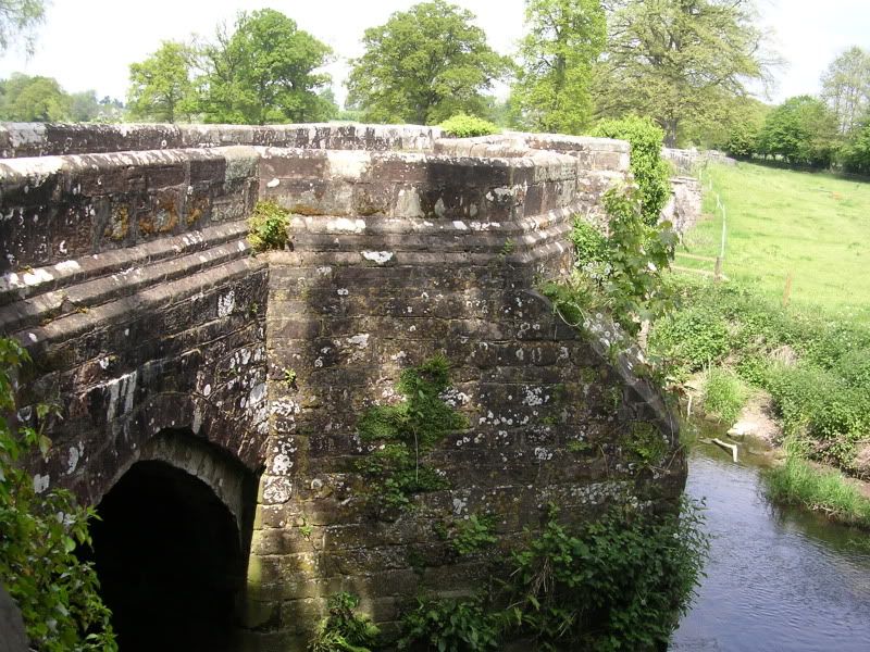 DSCN0944.jpg
