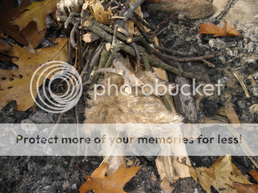 PICT0001-80.jpg