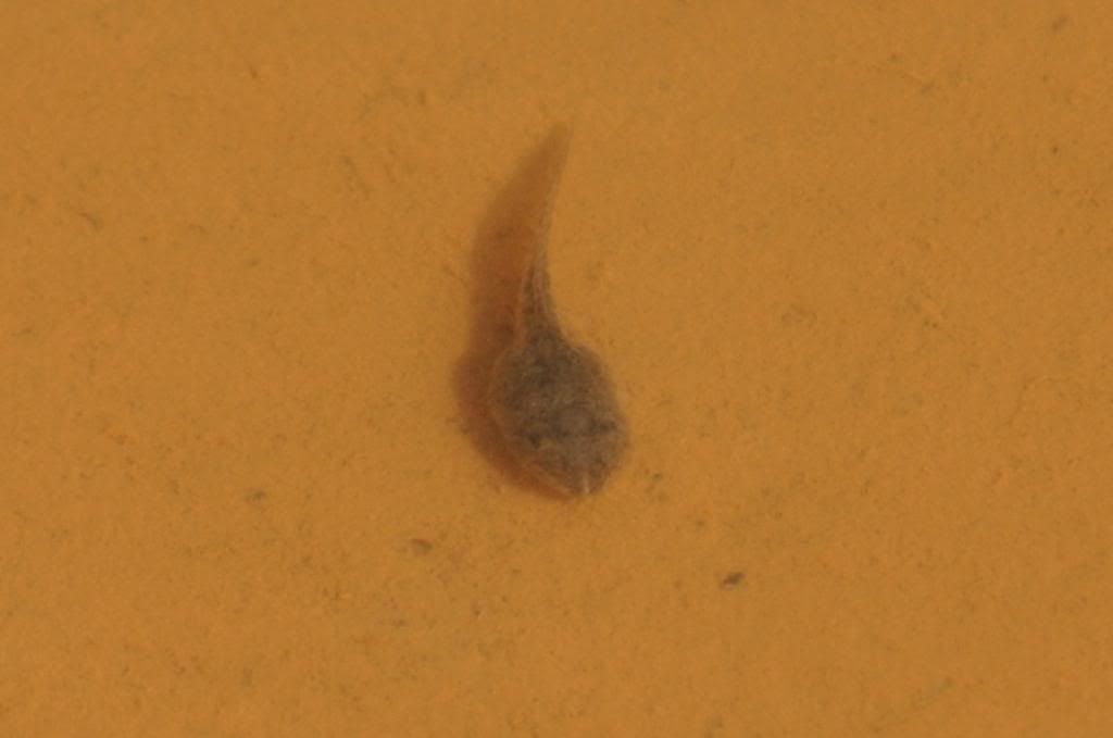 DSC_0542.jpg