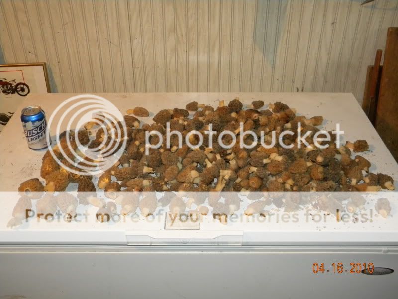 DSCN1780.jpg
