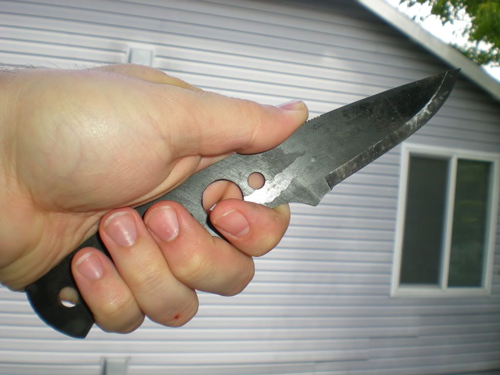 DSCN3636.jpg