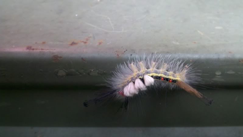 2011-09-11_09-08-10_171.jpg