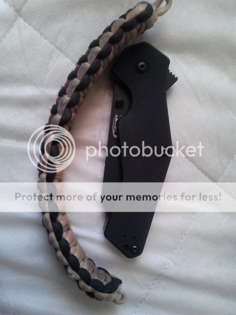 CAM00691_zps8e173a2f.jpg