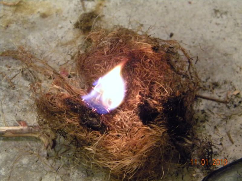 DSCN3022.jpg