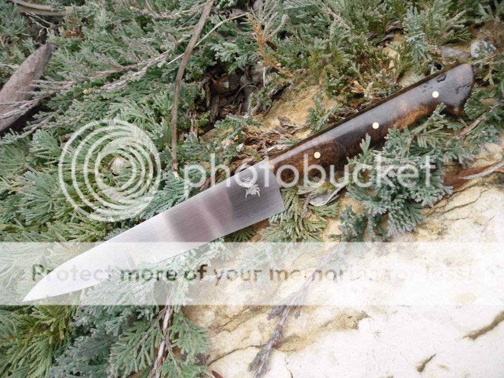 007_zpscqe5skqq.jpg