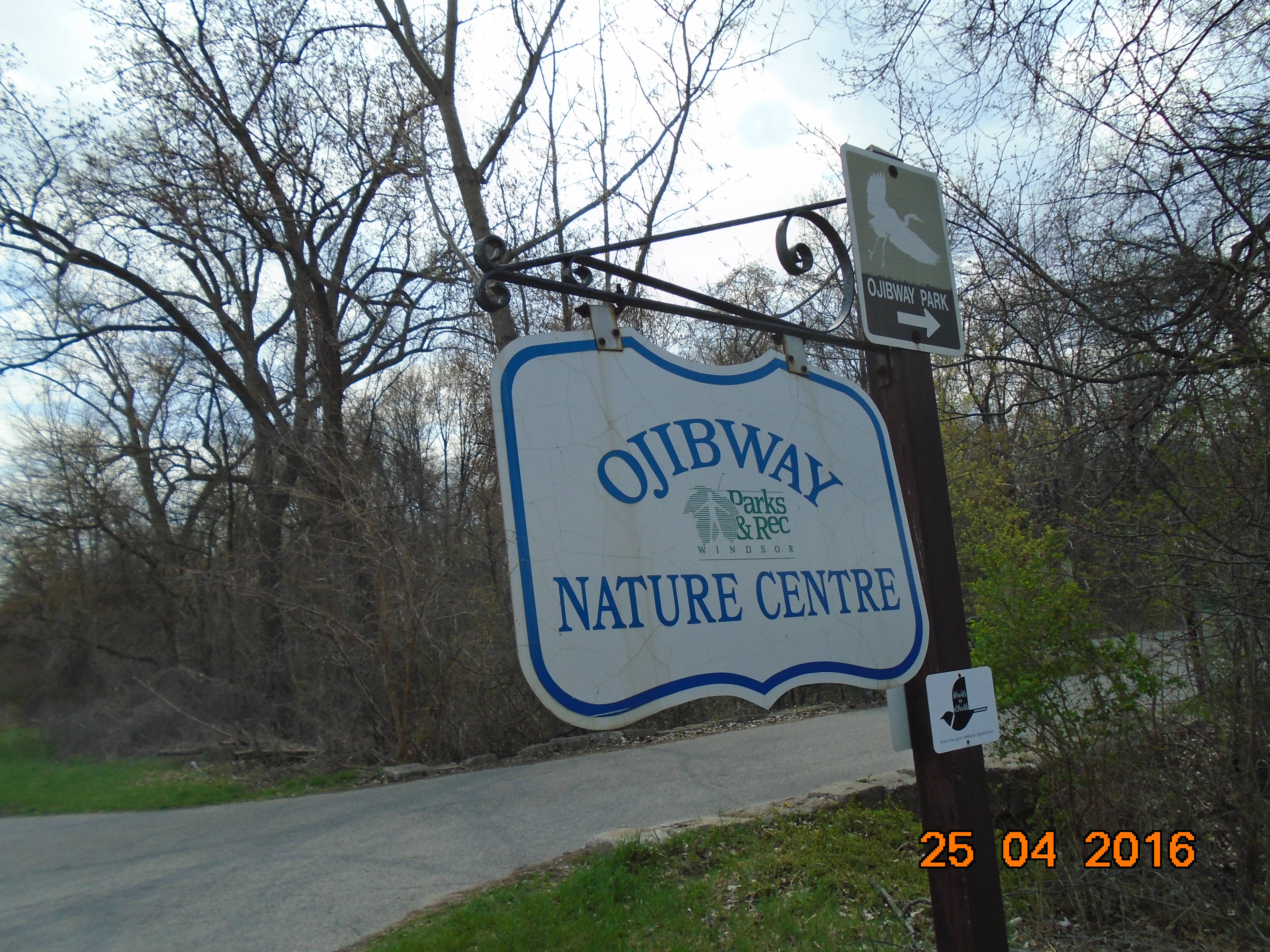 qPTWa7M.jpg