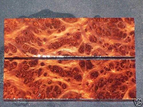 RedwoodBurl.jpg