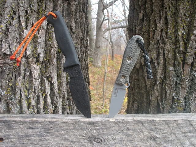 EDC074.jpg
