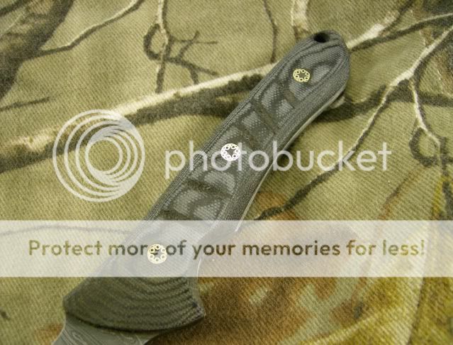 HPIM0753.jpg