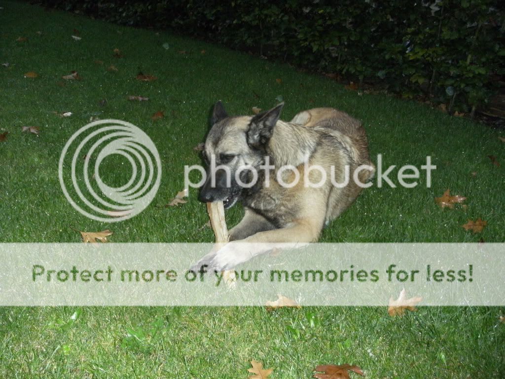 DSCF1229.jpg