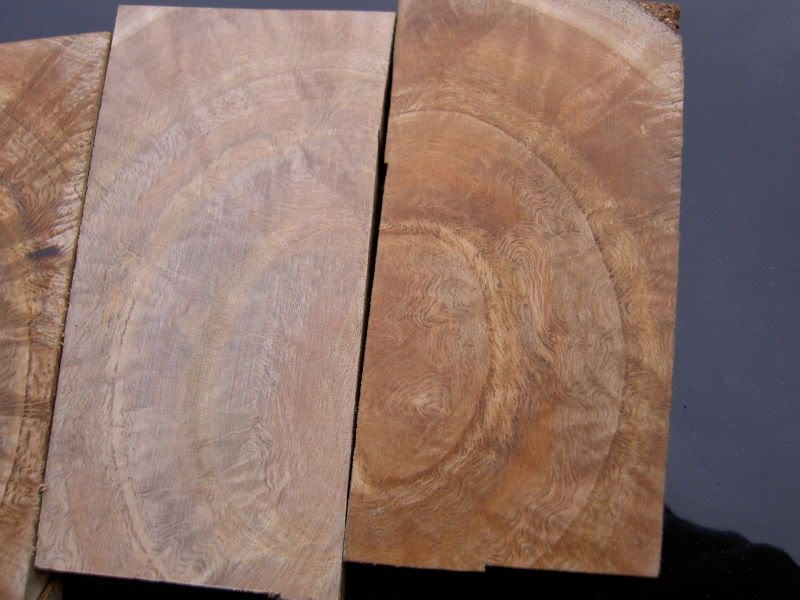 burl3.jpg
