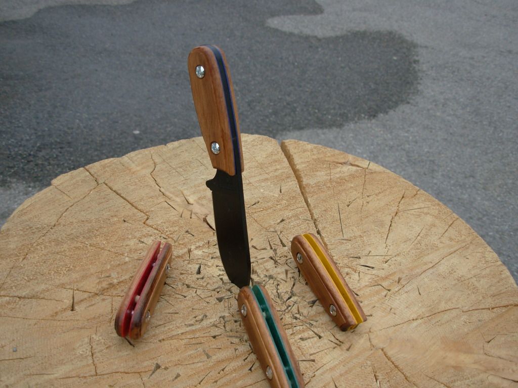 DSCN0375.jpg