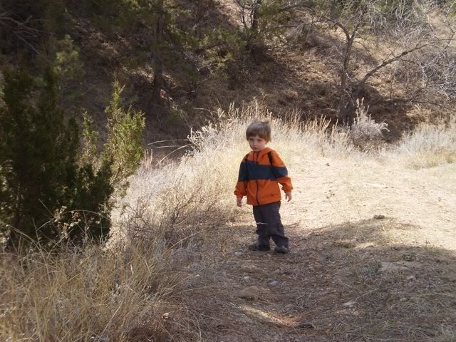 roonthetrail.jpg