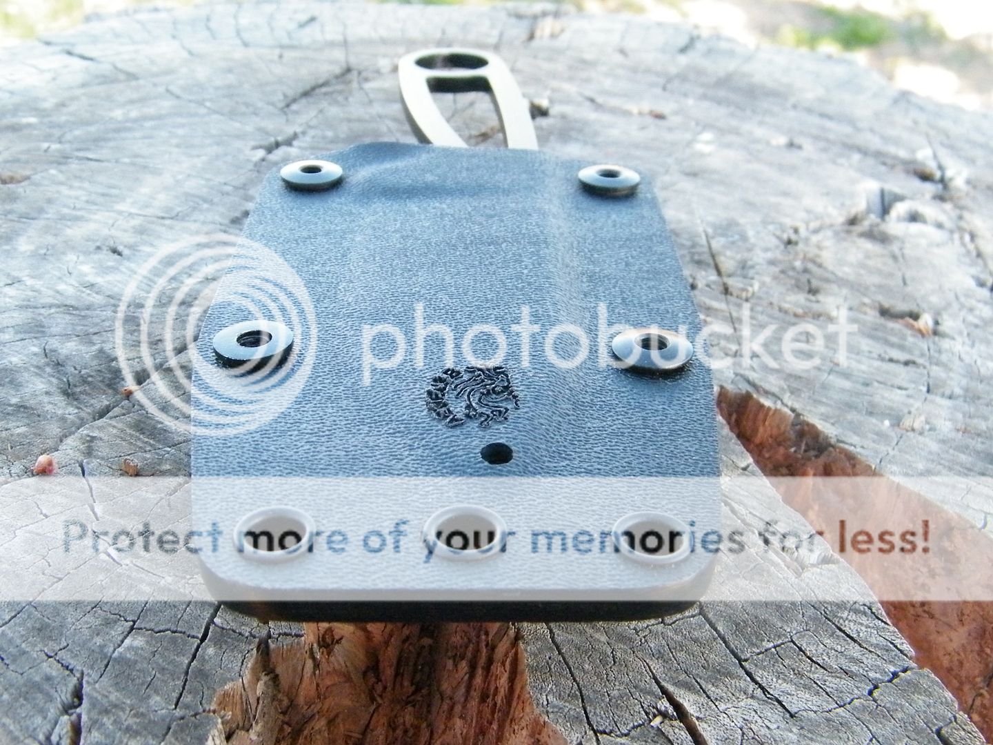 DSCF8163.jpg