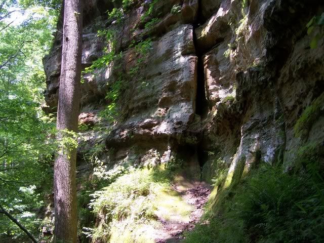 100_3922_00.jpg