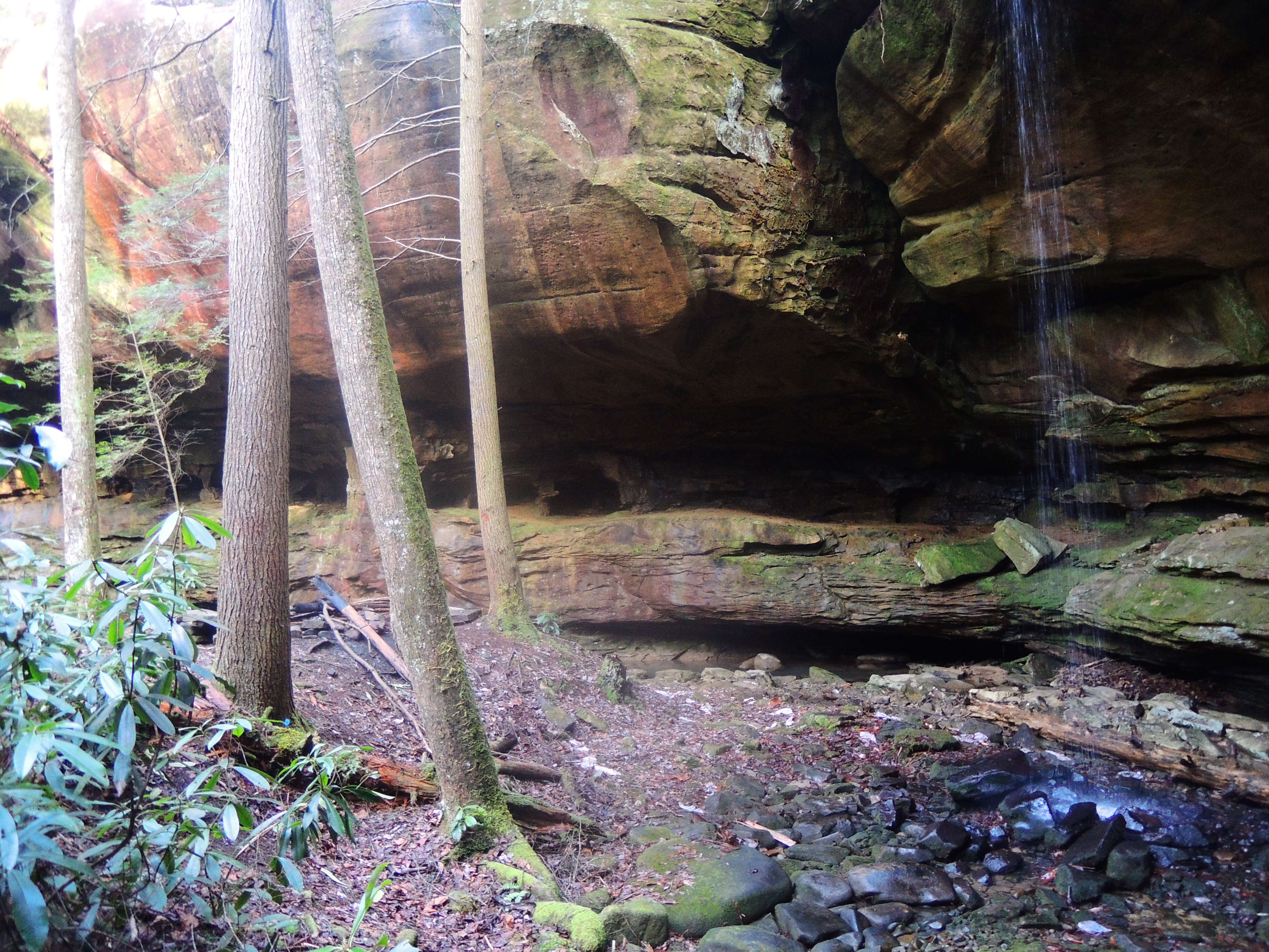 dscn5134k.jpg