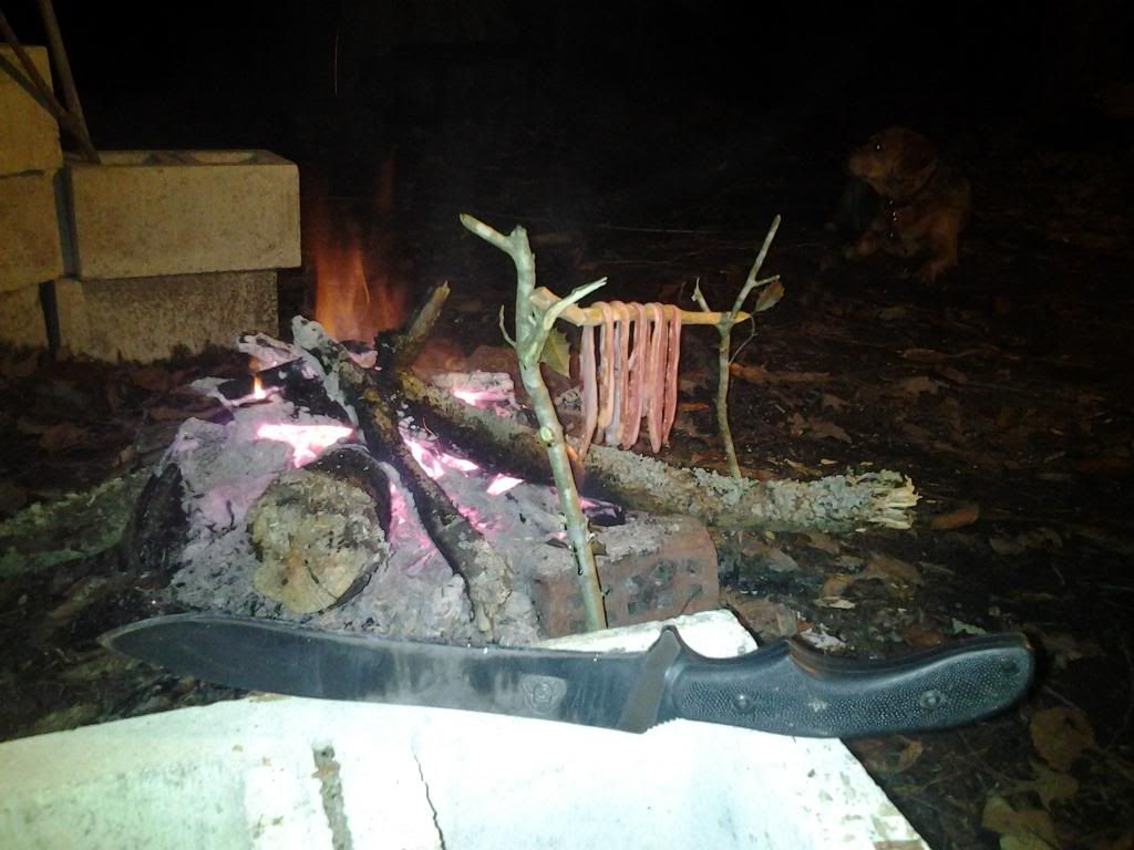 Bacon4_zpsb889799b.jpg