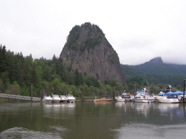 00796e48.jpg