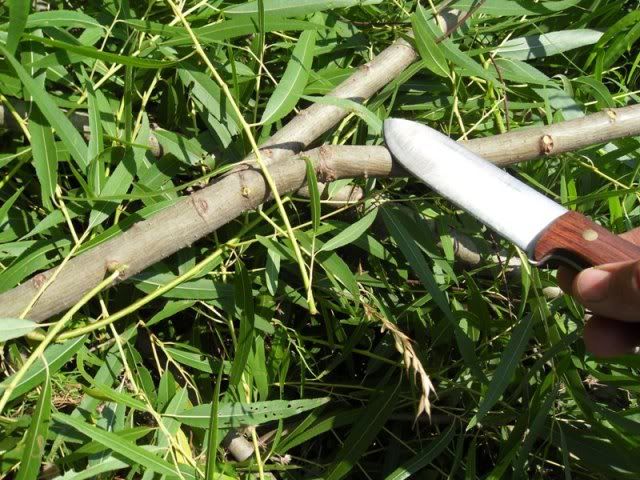 SDC10693.jpg