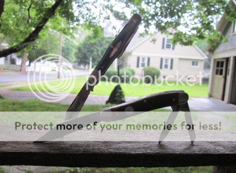 IMG_0871.jpg~original