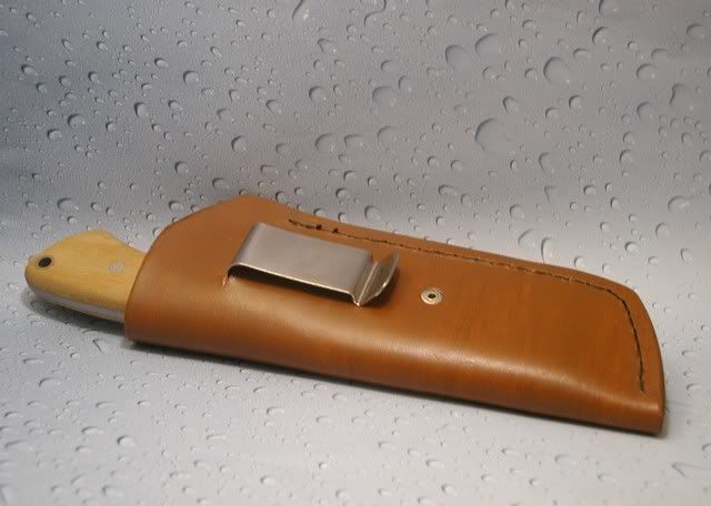 Image00007.jpg