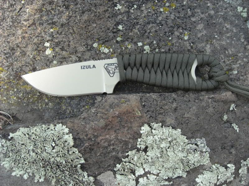 RAT017.jpg
