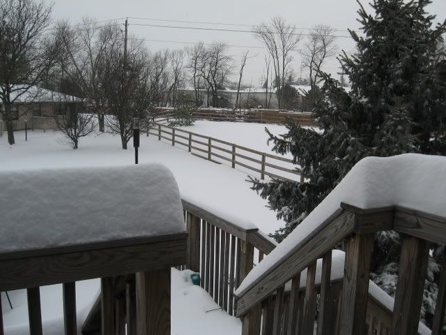 snow.jpg
