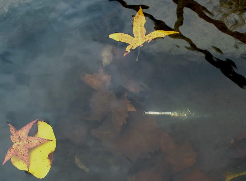 DSC_5291.jpg