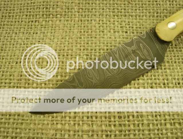 HPIM0855-1.jpg