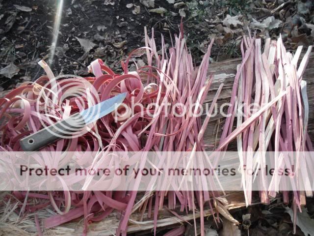logcabinfire2_zps7b0a89df.jpg