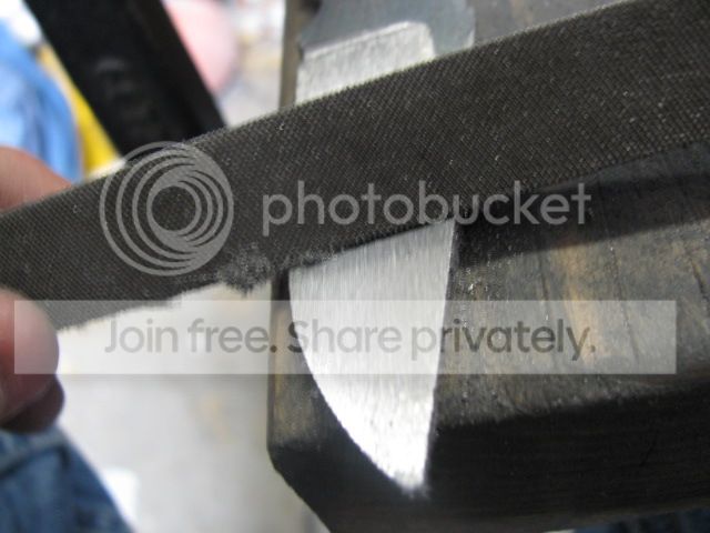 IMG_1271.jpg