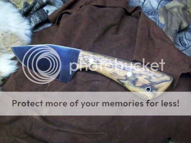 100_3955.jpg