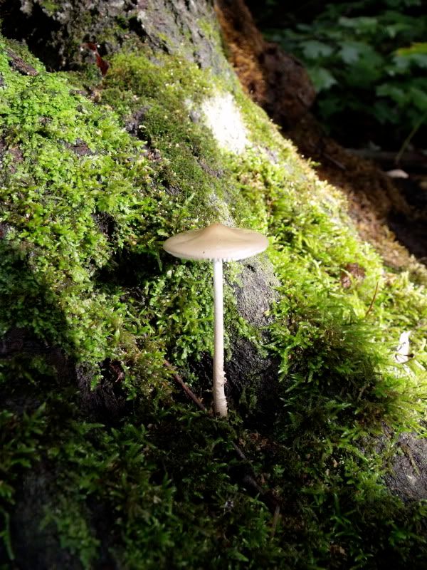 DSCF3798.jpg