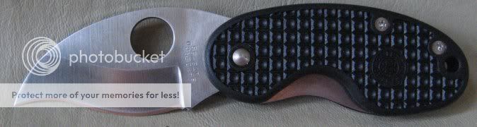 blackcricket2.jpg