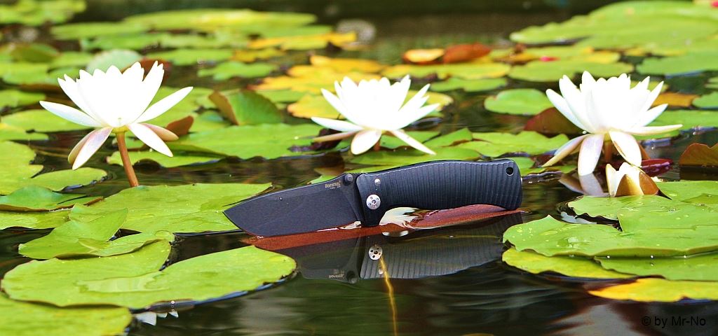 891857d1406113719-der-messer-thread-rose5.jpg
