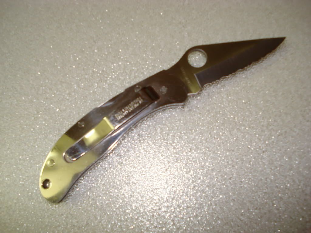 1st_spydie5.jpg