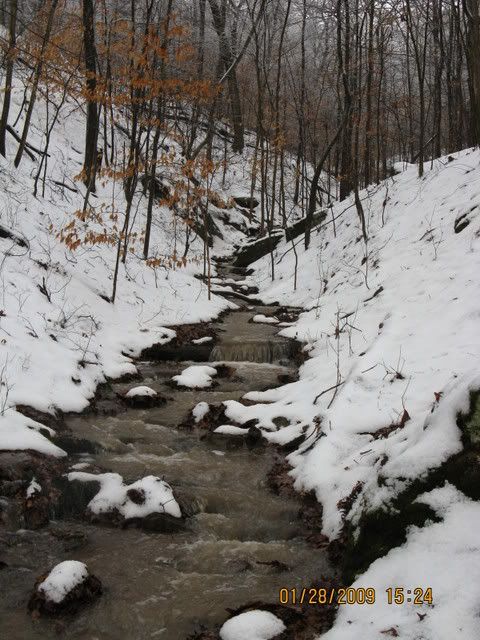 snowdayforthepets049.jpg