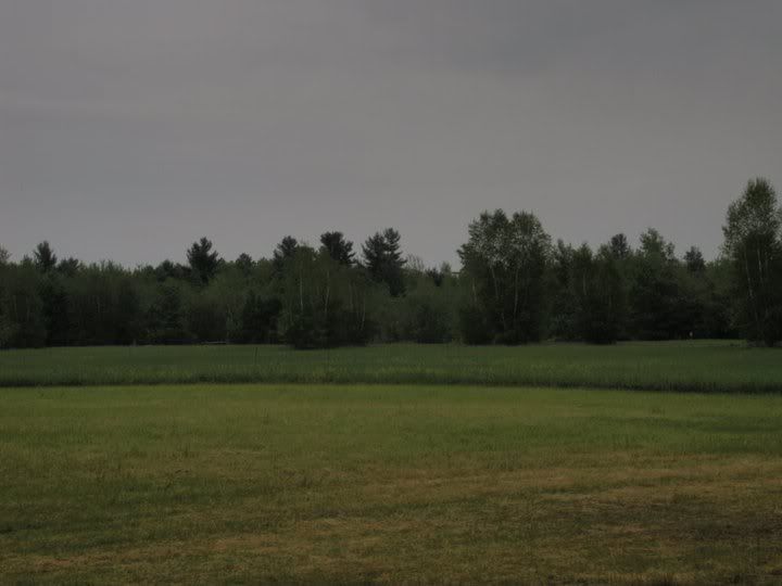 f3495a14.jpg