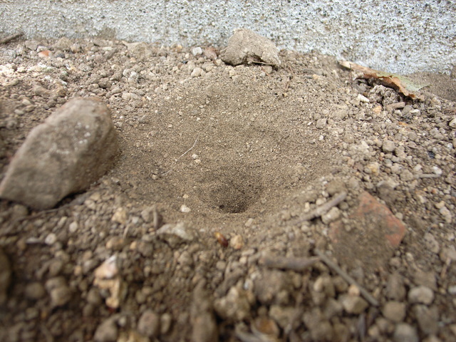 2010.04.10.r0020769.jpg