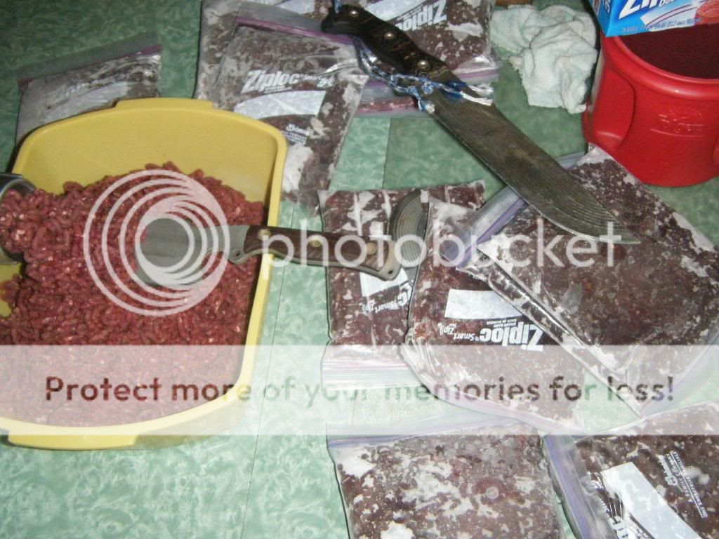 DSCF9541.jpg