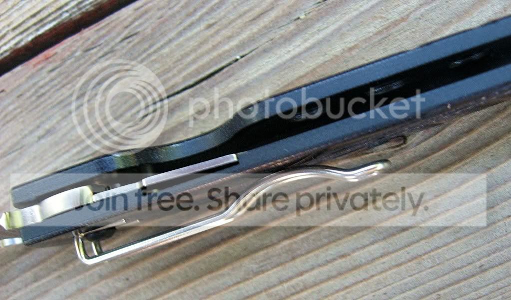 SpydercoDesHorn03.jpg