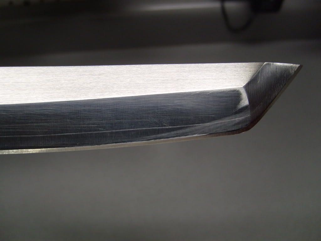 S7300193.jpg