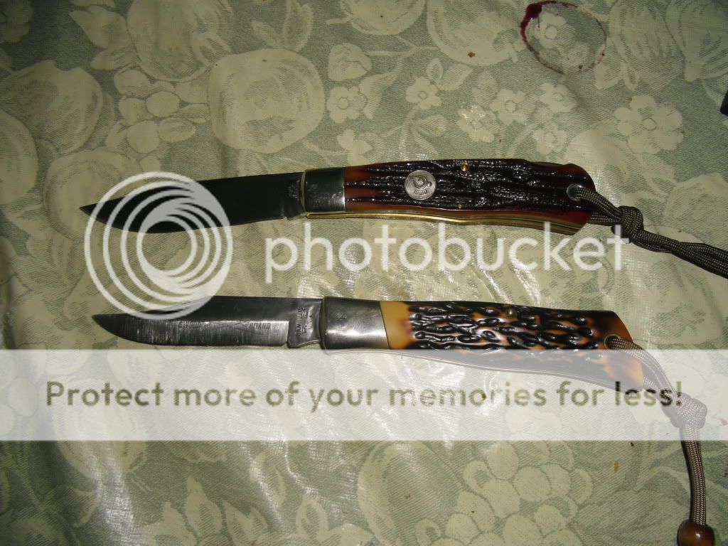 PICT0022-13.jpg