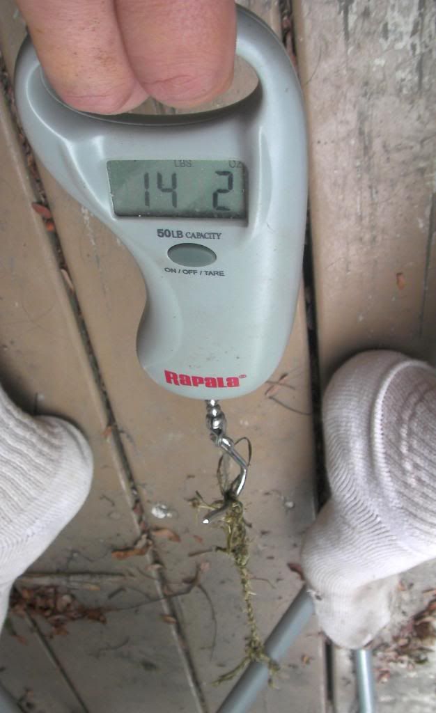 SANY0113.jpg