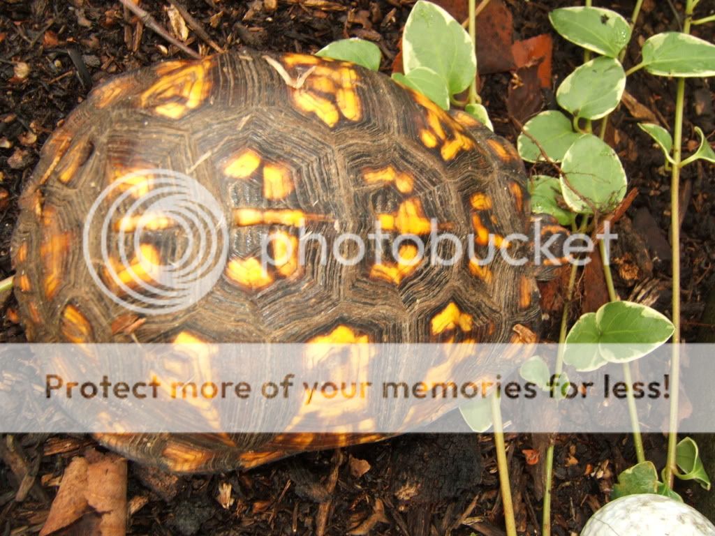 DSCF1226.jpg