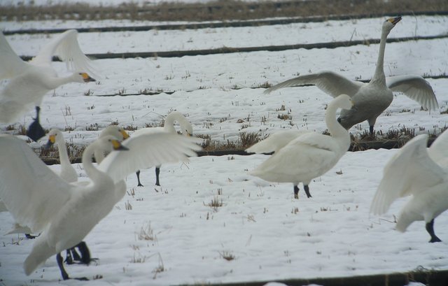 2008.02.21.R0014718.JPG