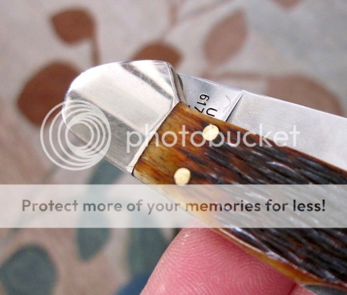 IMG_4584.jpg~original