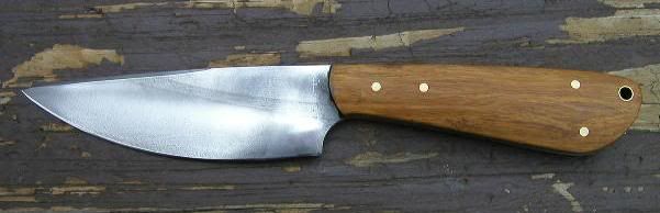 ser578aa.jpg